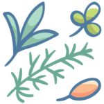 herbs