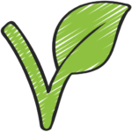 vegan